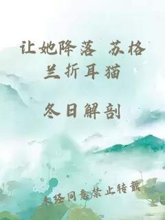 讓她降落 蘇格蘭折耳貓