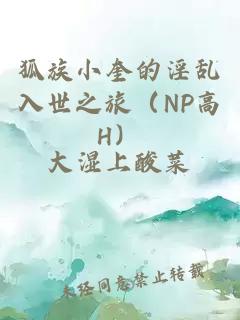 狐族小奎的淫亂入世之旅（NP高H）
