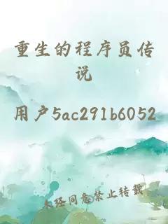 重生的程序員傳說