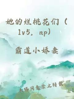 她的爛桃花們（1v5，np）