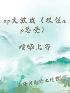 xp大放出（雙性np總受）