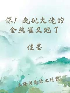 驚！瘋批大佬的金絲雀又跑了