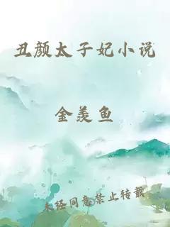 丑顏太子妃小說